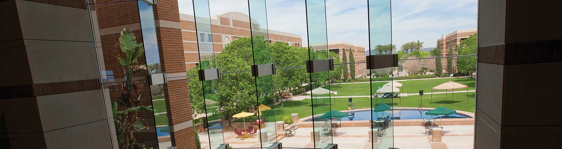 Fletcher lawn as seen through the library window